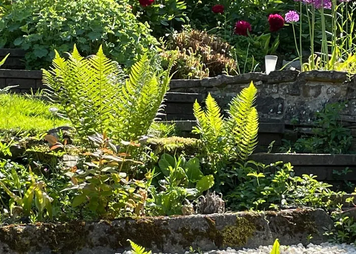 Ellen House Bed And Breakfast